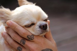 10276435_432340143569183_273660226_n