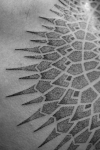 10589010_477532269049970_733393075_n