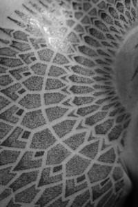 10592604_477532165716647_8384722_n