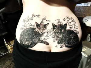 471860527_18481476892012978_307735321508719983_n