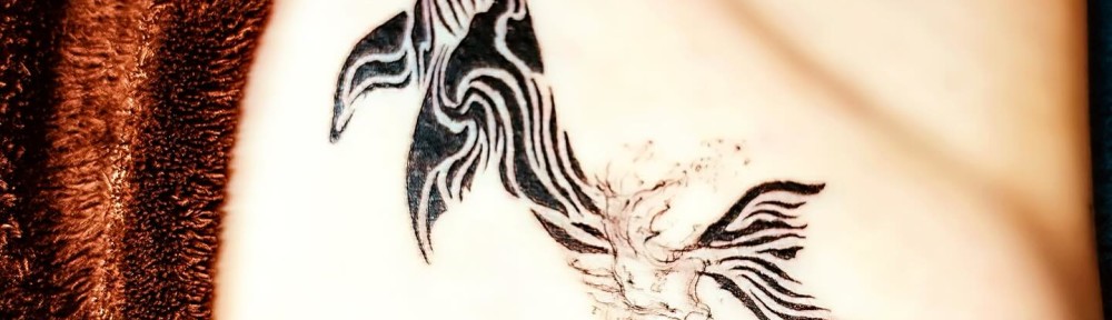 472122845_18481889551012978_5041516446861358041_n