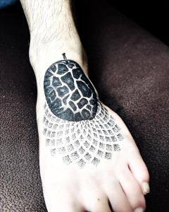 472206667_18482138572012978_2599348595009371054_n