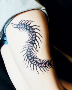 472478479_18482145382012978_3387311161325676989_n