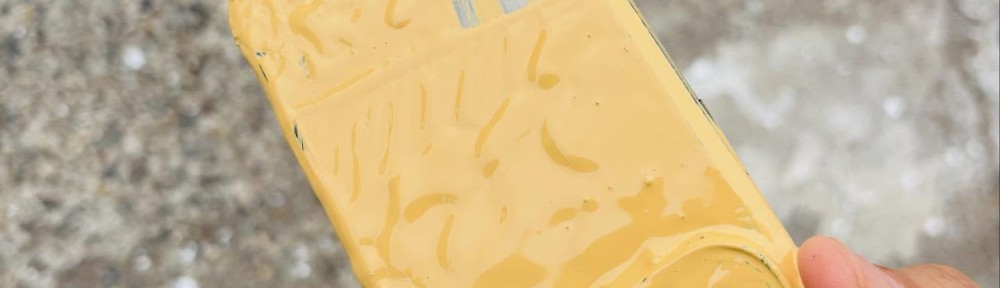 561896114_18537042790012978_6273237444099936457_n