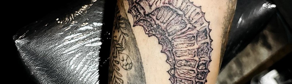 564196398_18538224556012978_7828411695979148907_n