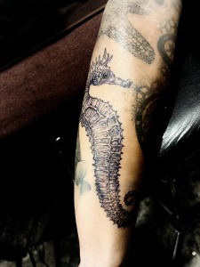 566795817_18538224565012978_4830458266458565562_n