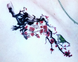 603488530_18551739865012978_1886843306928382291_n