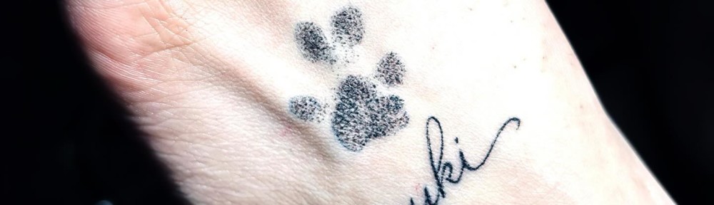 660122470_18579739225012978_7779452651072889573_n