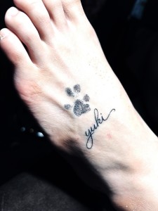 660122470_18579739225012978_7779452651072889573_n