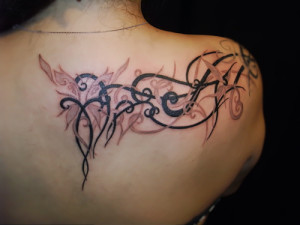 download.jpg1.jpgsss