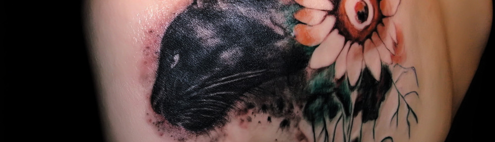 SANYO DIGITAL CAMERA