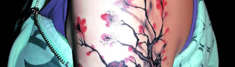 SANYO DIGITAL CAMERA